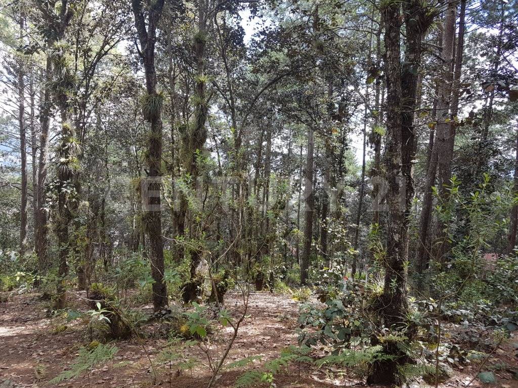 Calle Innominada S/N, San Cristóbal De Las Casas, تشياباس 29246, المكسيك