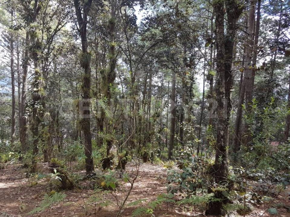 Calle Innominada S/N, San Cristóbal De Las Casas, Chiapas 29246, Meksyk