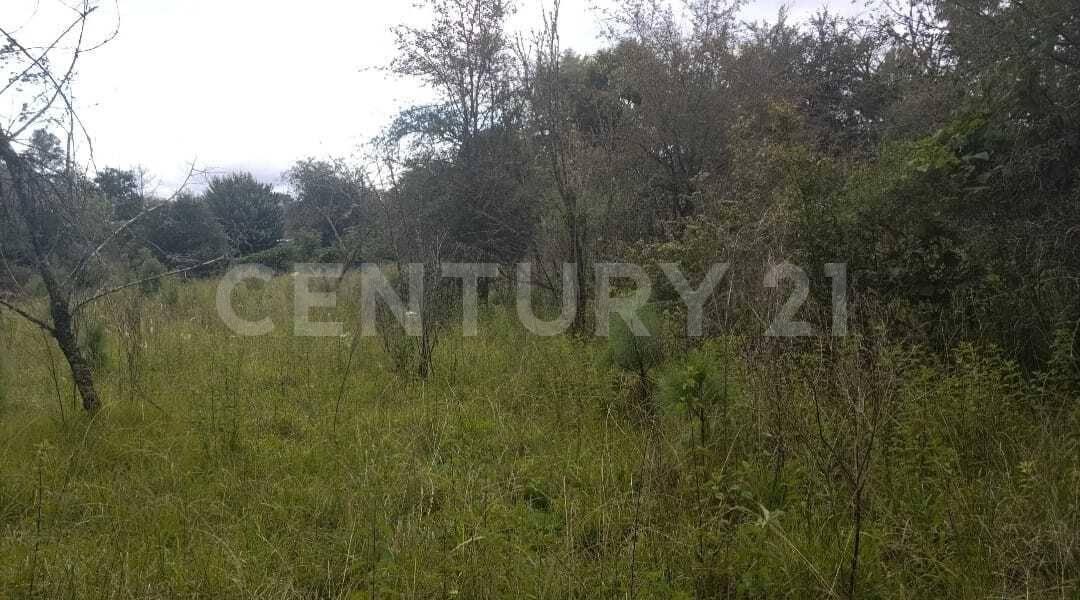 Carr. San Cristobal - San Juan Chamula S/N, San Cristóbal De Las Casas, 恰帕斯 29247, 墨西哥