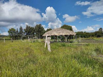 CARR. COMITAN A MARGARITAS KM2,  6A. SUR ORIENTE #108, Comitán De Domínguez, チアパス 30037, メキシコ