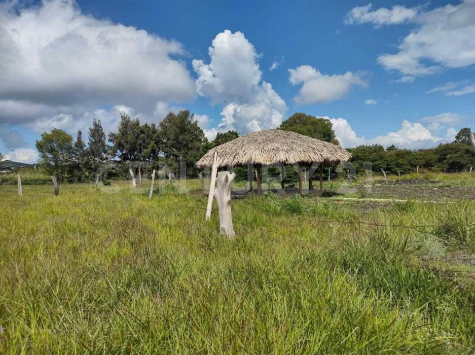 CARR. COMITAN A MARGARITAS KM2, 6A. SUR ORIENTE #108, Comitán De Domínguez, チアパス 30037, メキシコ