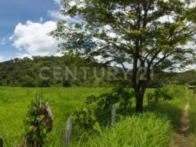 Carr. Villaflores-Arriaga 22km al entronque, frente al ejido agrónomos mexicanos. S/N, Villaflores, Chiapas 30470, Mexico