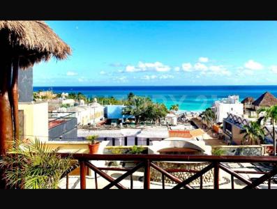 Calle 4, Solidaridad / Riviera Maya, Quintana Roo 77710, Mexico