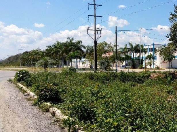 mza 879 sm006 lote001 sn, Tulum, 金塔纳罗奥 77780, 墨西哥