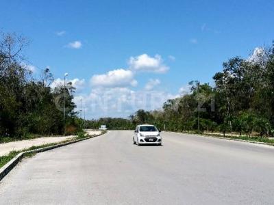 mza 879 sm006 lote001 sn, Tulum, 金塔纳罗奥 77780, 墨西哥