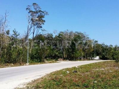 mza 879 sm006 lote001 sn, Tulum, 金塔纳罗奥 77780, 墨西哥