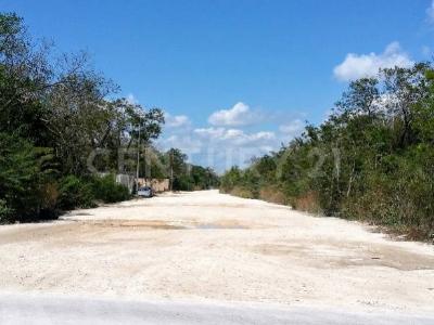 mza 879 sm006 lote001 sn, Tulum, 金塔纳罗奥 77780, 墨西哥