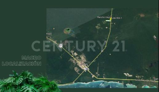 Terreno de la Selva Coba, Tulum, Quintana Roo 77760, Mexico