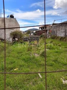 Privada de las Rosas , Tlalpan, Ciudad De México 14500, 墨西哥