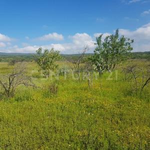 La hierba S/N, Celaya, Guanajuato 38158, Mexico