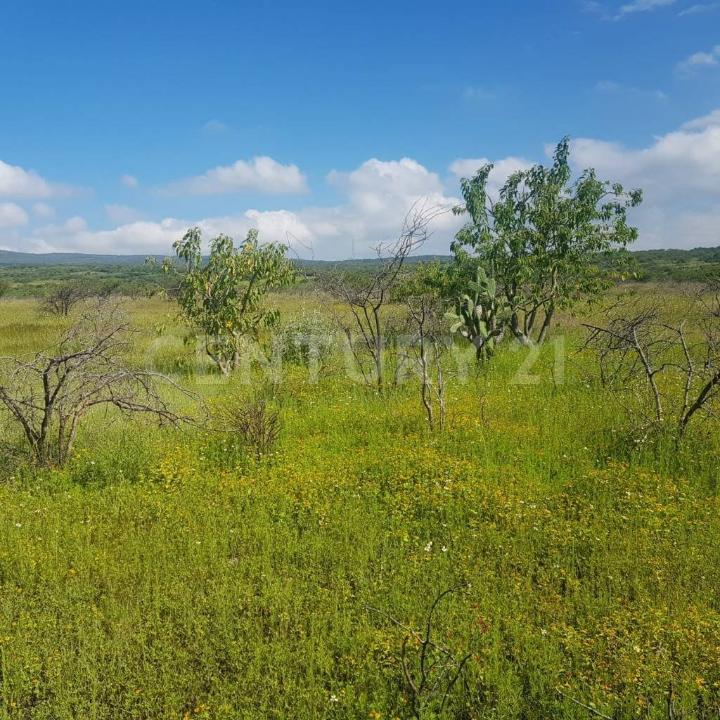 La hierba S/N, Celaya, גואנחואטו 38158, מקסיקו