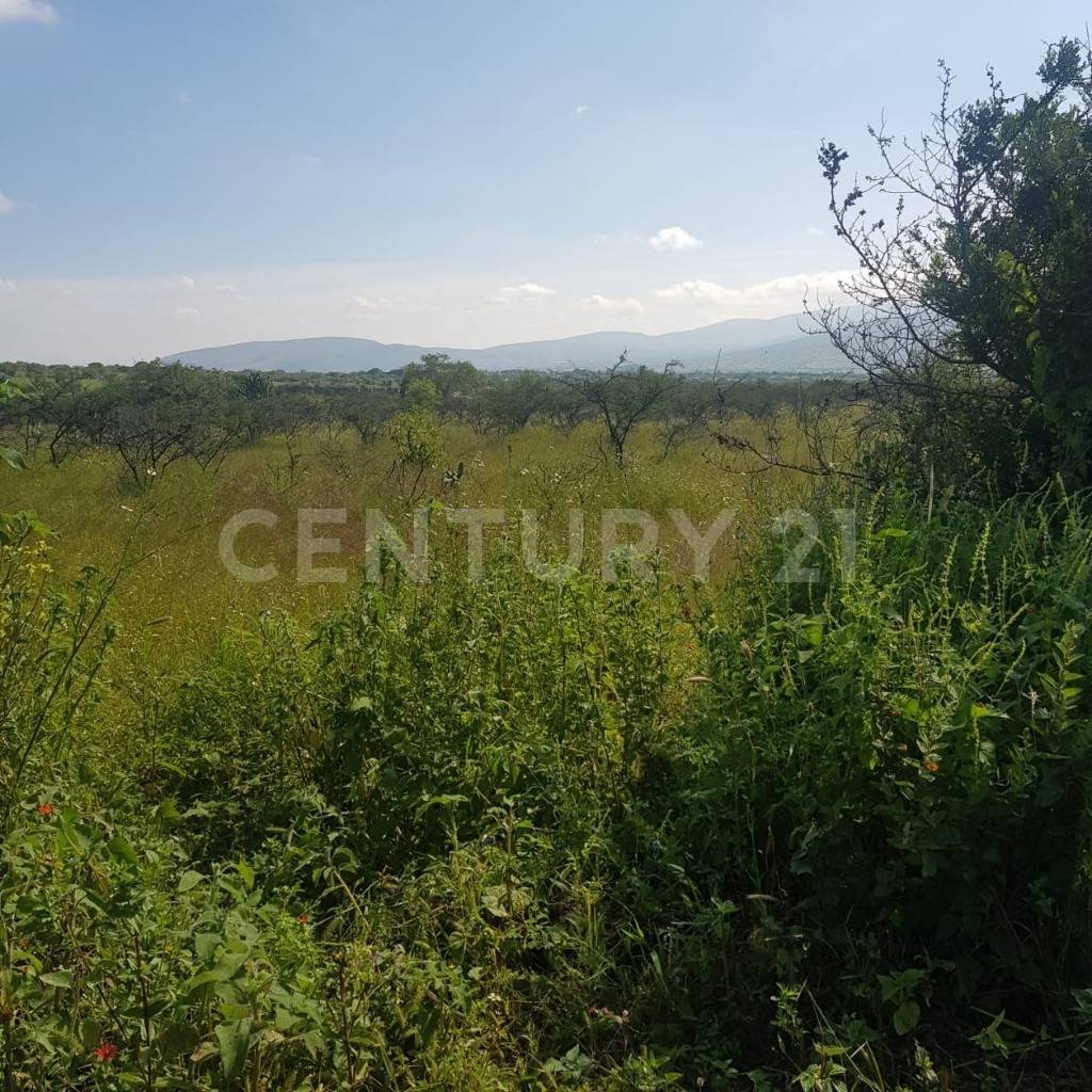 La hierba S/N, Celaya, גואנחואטו 38158, מקסיקו