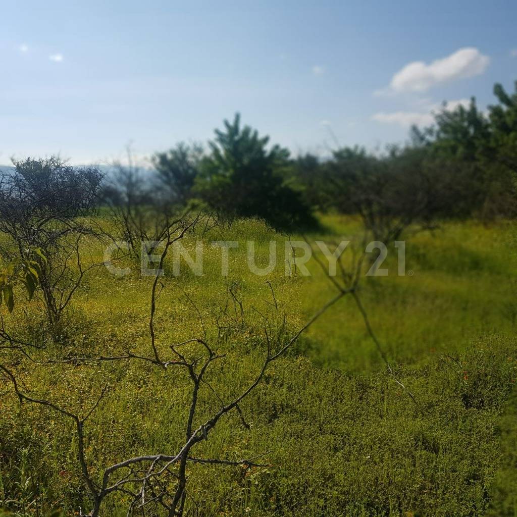 La hierba S/N, Celaya, גואנחואטו 38158, מקסיקו