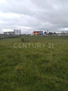 Emiliano Zapata , Metepec, Estado De México 52148, Mexico