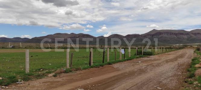 Chihuahua, Chihuahua 31146, Messico