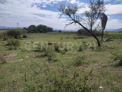 CARRETERA AMECA-GUADALAJARA S/N, San Martín Hidalgo, Jalisco 46770, Mexico