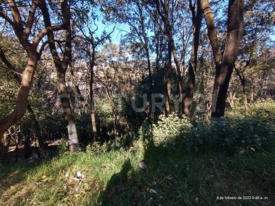 Tierra Prieta 1, Huixquilucan, メヒコ州 52760, メキシコ