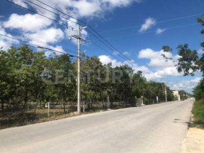 Av. Prolongación la Luna Smz 311, Cancún/Benito Juárez, Quintana Roo 77533, Mexico