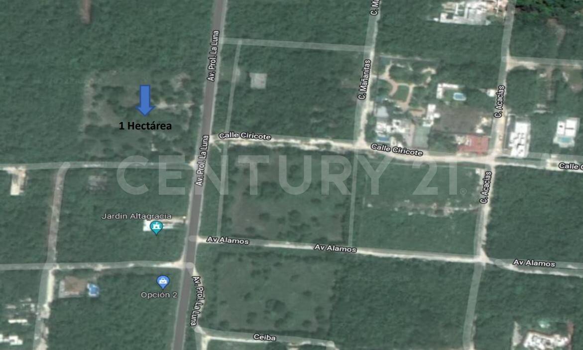 Av. Prolongación la Luna Smz 311, Cancún/Benito Juárez, Quintana Roo 77533, Mexico