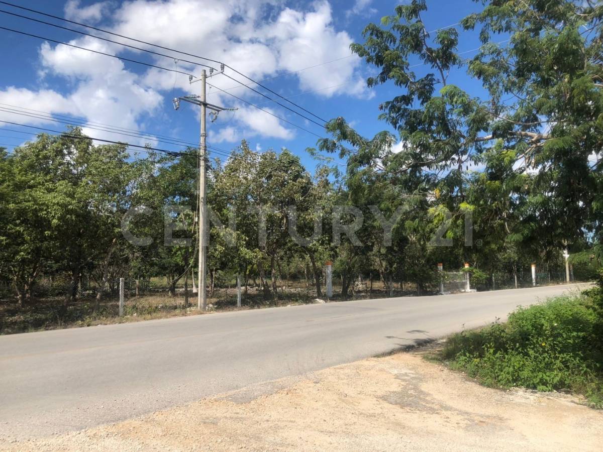 Av. Prolongación la Luna Smz 311, Cancún/Benito Juárez, Quintana Roo 77533, Mexico