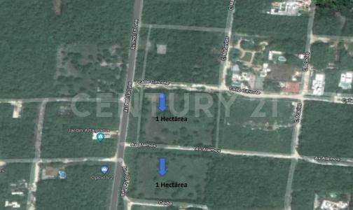 Av. Prolongación la Luna Smz 311, Cancún/Benito Juárez, Quintana Roo 77533, Mexico