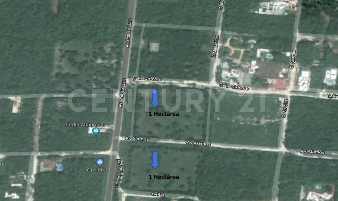 Av. Prolongación la Luna Smz 311, Cancún/Benito Juárez, Quintana Roo 77533, Mexico