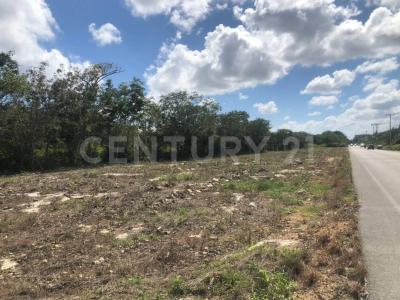 Av. Prolongación la Luna Smz 311, Cancún/Benito Juárez, Quintana Roo 77533, Mexico
