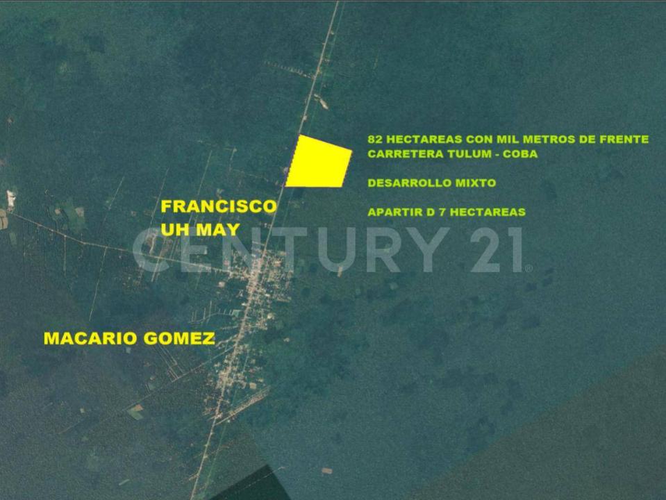 Tulum, קינטנה רו 77761, מקסיקו