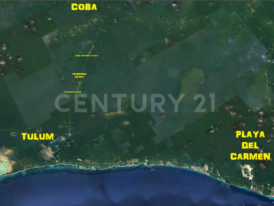 Tulum, קינטנה רו 77761, מקסיקו