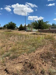 Calle Quintas los Fresnos y Av. Quinta Lopez Borunda s/n, Cuauhtémoc, Chihuahua 31543, México