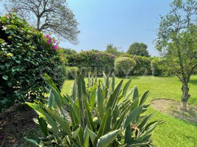 Callejón de la Pascuala , Yautepec, モレーロス 62732, メキシコ