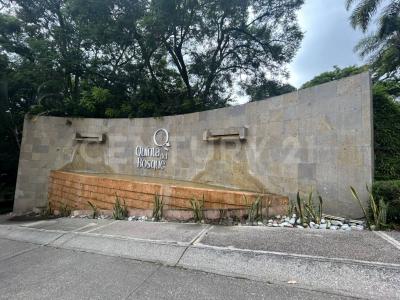 Cuernavaca, モレーロス 62166, メキシコ