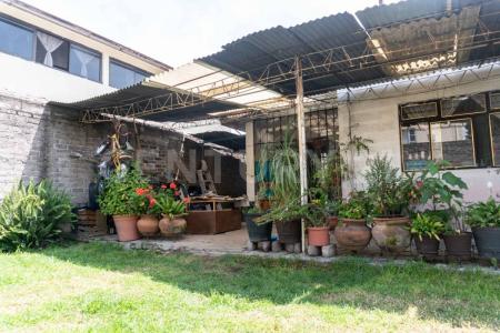 AZALEA , Xochimilco, Ciudad De México 16090, México