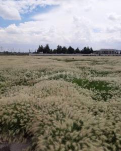 Tecámac, Estado De México 55757, Mexiko