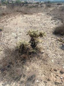 segovia S/N, Zumpango, Estado De México 55610, Mexico