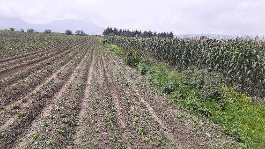 Sebastian Lerdo de Tejada S/N, San Antonio La Isla, Estado De México 52280, Mexico