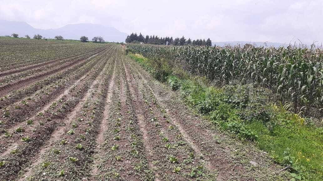 Sebastian Lerdo de Tejada S/N, San Antonio La Isla, Estado De Mexico 52280, Mexico