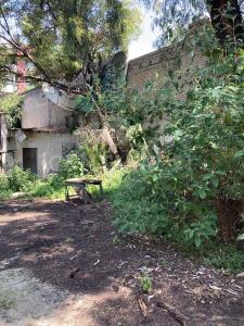 Mar Caspio 0001, Miguel Hidalgo, Ciudad De México 11420, メキシコ