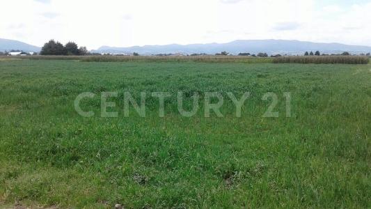 Zinacantepec, Estado De México 51370, Mexico