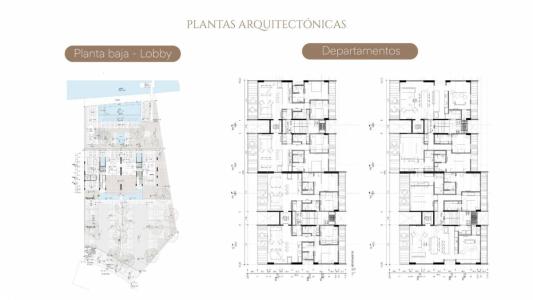 AVENIDA DEL ESTERO, TORRE CATALUÑA S/N, Mazatlán, Sinaloa 82110, Mexico