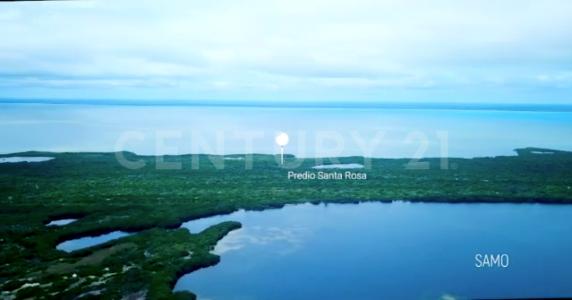 Isla Mujeres, Quintana Roo 77400, Mexico