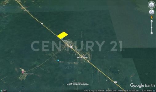 Tulum, Quintana Roo 77761, Mexico