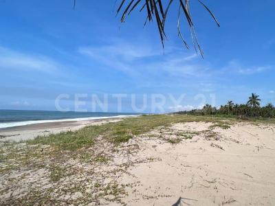 Gregorio Vazquez Moreno S/N, Rosario, Sinaloa 82823, Mexico