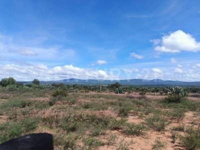 Sin nombre N.A, Huichapan, Hidalgo 42434, Mexico