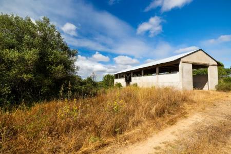 Tomar, سانتاريم 2305-216, البرتغال