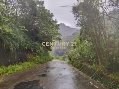 出礦坑段, Gongguan Township, Miaoli County 363, Taïwan