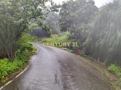 出礦坑段, Gongguan Township, Miaoli County 363, Taïwan