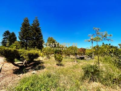 屯山段, Tamsui Dist., Nueva Taipei 251, Taiwan