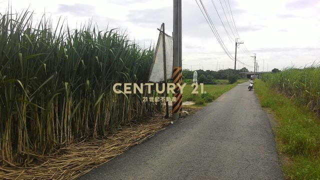 茄拔段, Shanhua Dist., Tainan 741, Taïwan