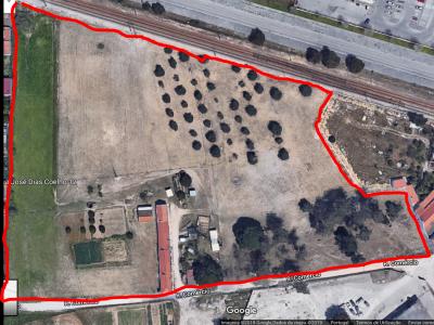 Moita, Setubal 2860-054, Portogallo